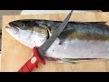 How to Fillet and Prepare Yellowtail