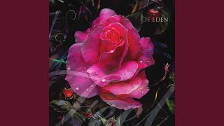 Was It Something I Said