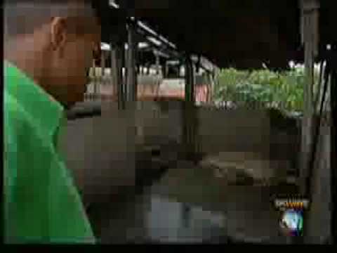 Repórter Record - Parte I