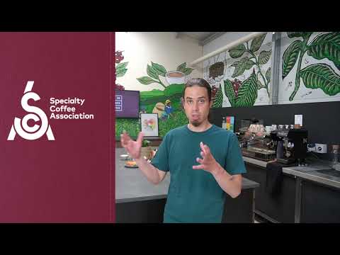 SCA Coffee Skills Program overview | 39 Steps Coffee, London