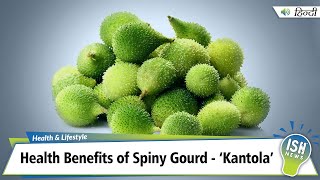 Health Benefits of Spiny Gourd - ‘Kantola’