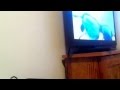 Opening To Kangaroo Jack 2003 DVD