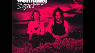 2raumwohnung - Wir Sind Die Anderen (Ricardo Villalobos Remix)