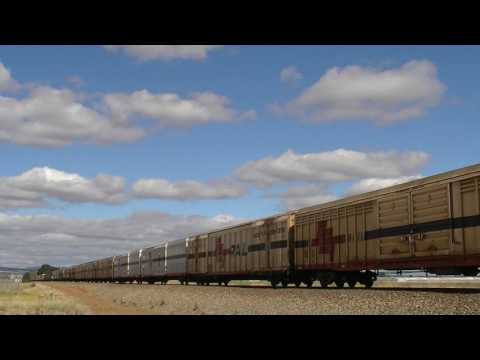 CSR009, CSR010, CSR003 and BK01 2MP9