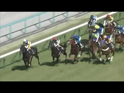 2021.04.11 Osaka-Hamburg Cup (JPN) - Miss Mamma Mia