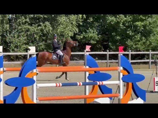 Full Sister, Prova DMC