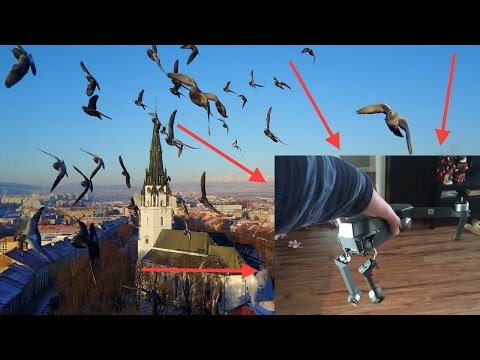 Pozrite si to aj vy: Impozantné zábery zo Spišskej s prekvapivým koncom!