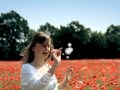 Polsat Długa Wersja Identu Maki Od 2006