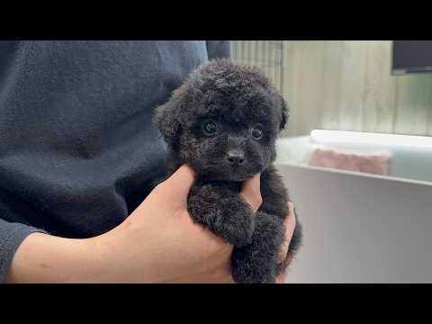 YouTube動画のサムネイル