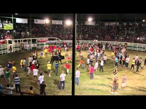 Rodeo Costa Rican Style, Where Bulls Chase People