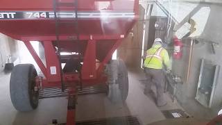 Unloading corn at CVA (Central Valley Ag) in Hooper Nebraska.