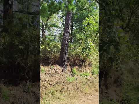 Épico San Fernando en Morazán El Salvador 🇸🇻🤠🏞️ #elsalvador #salvadoreñosenusa  #turismo