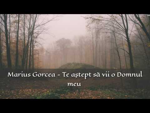 Marius Gorcea - Te astept sa vii o Domnul meu