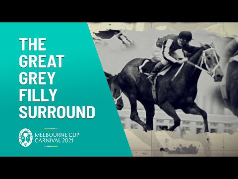 Surround The Great Grey Horse | Melbourne Cup Carnival | Channel 10