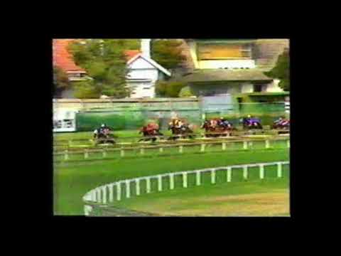 1988 VATC Futurity Stakes - Vo Rogue