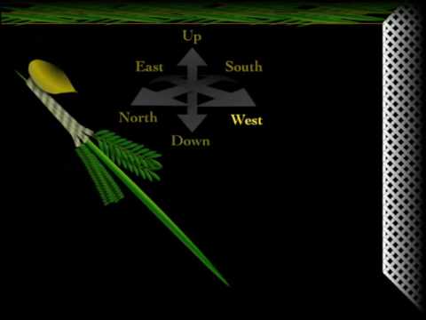 Sukkot Visual Tefillah clip