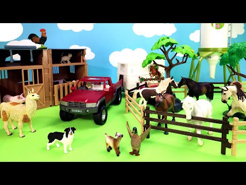 Fun Barnyard Farm Animal Surprises in the Barn   Horses Cows Sheep