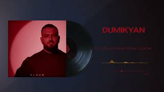 Arkadi Dumikyan - Pap Jan Ko Koxkin Menk Ujexenk (2025)