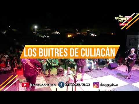 Con Toda La Actitud / Los Buitres de Culiacán En Vivo desde Antúnez Michoacán Mx