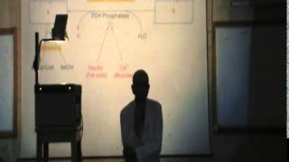 8) Dr Rasheed 17/11/2014 [ Conversion of pyruvate - Gluconeogensis ]