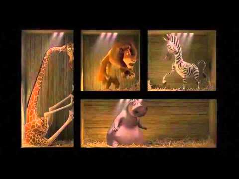 Madagascar - ZOO Transfer