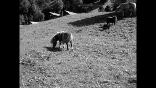 Rainy Days Factory - Sorry (Unofficial)