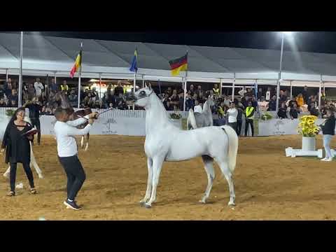 ES SARAB . #MARAJJ  BY MARWAN AL SHAQAB  & MAHJESTY BY #WH_JUSTICE