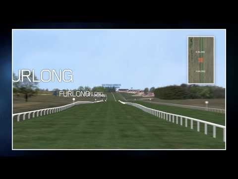 Course Flyover for the Etihad Airways Falmouth Stakes