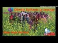 Ghar Aaja Pardesi Dilwale Dulhania Le Jayenge Movie Pamela Chopra Manpreet Kaur
