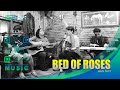 Bon Jovi Bed Of Roses Acoustic Cover