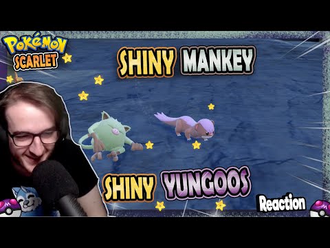 LA RICERCA DELLE UOVA - YUNGOOS-MANKEY SHINY REACTION - Pokémon Shiny Living Dex [394-395]