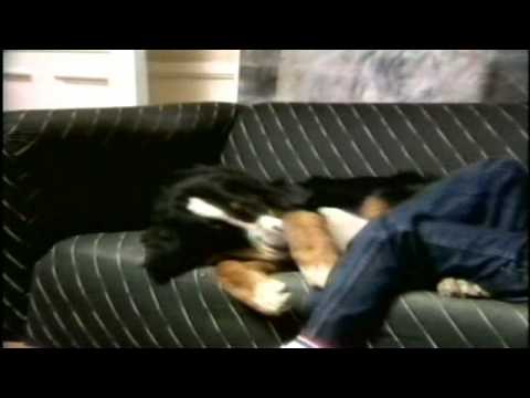 Stellan Skarsgård Swedish Interview With Gustaf as Boy