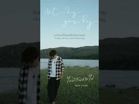 ไม่มีวันหายไป (Not a day goes by) - Trin Chan #newmusic #music