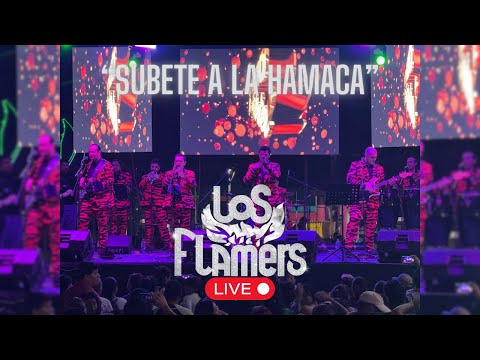 LOS FLAMERS - SUBETE A LA HAMACA (LIVE)