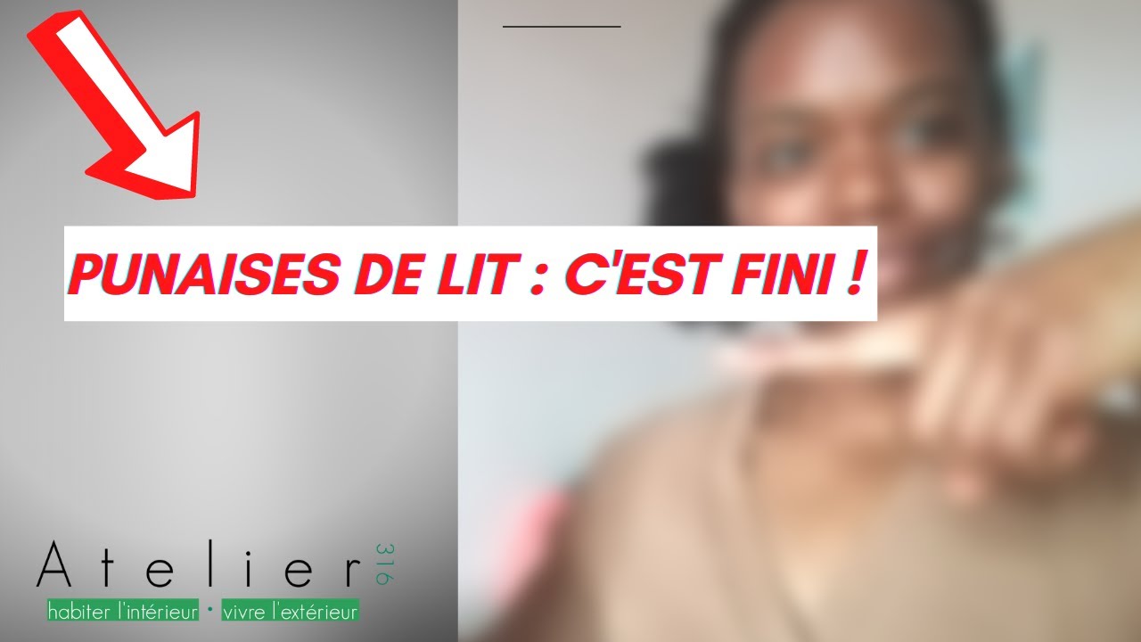 ⭕️ 🐜 #punaisesdelit sur matelas  Une astuce à tester sans produit chimique ni insecticide  🐜 ⭕️