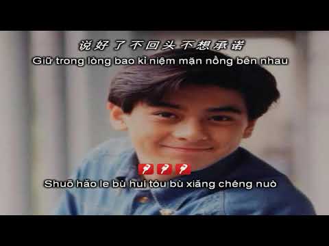 KARAOKE song ngữ WO BU HOU HUI _ 我不後悔 _ Anh không hối hận - Lâm Chí Dĩnh