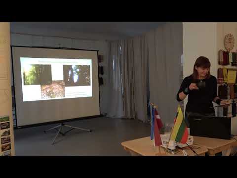 Dabas dziedinošās vietas. I.Ančevska. 10.01.2019. Saldus. Balts Road