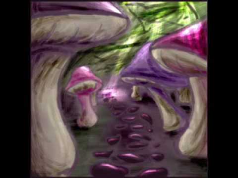 Marshall Jefferson, Noosa Head Mushrooms