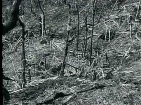 COMBAT BULLETIN NO. 58