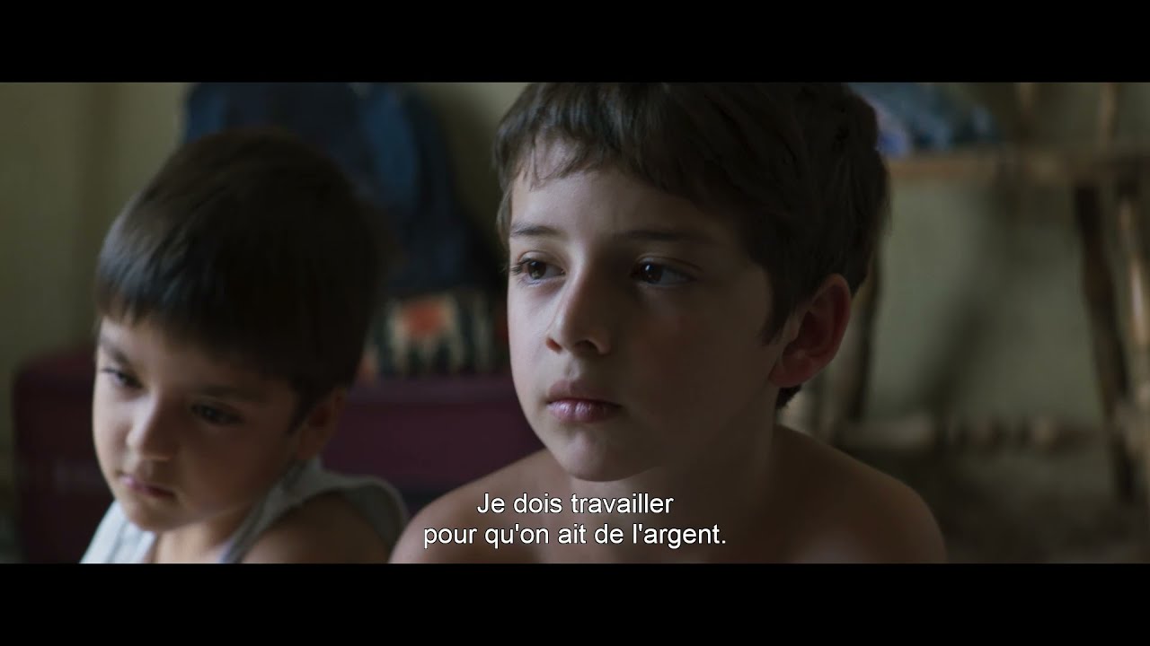 Miniature de la vidéo Los Lobos - Bande annonce du film The Wolves