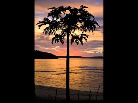 Tonga - Funga'onetaka - Seini Fuatapu