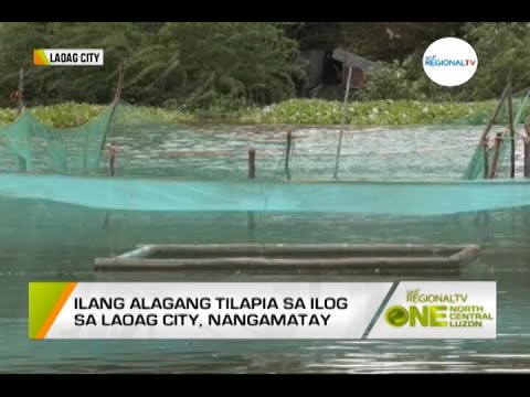 One North Central Luzon: Pagkamatay ng mga Alagang Tilapia