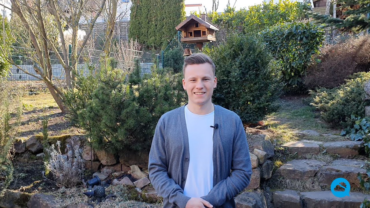 youtube video id=MHUapE2cZug