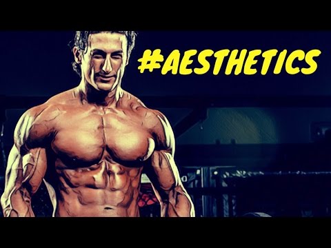 SADIK HADZOVIC - BUILDING THE CLASSIC PHYSIQUE