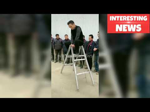 Satisfying Random videos you may not enjoy this video Untill if you don't watch fully | INTERESTING