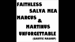 Marcus &amp; Martinus vs Faithless - Unforgettable Salva Mea (Gauffie Mashup) (snippet)