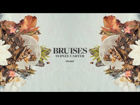 Sydnee Carter - Bruises (Official Lyric Video)