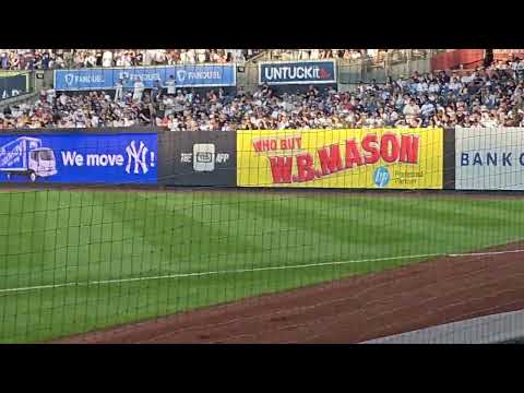 New York Yankees Stadium right field bleacher creature roll call 7/21/23 vs Kansas City Royals