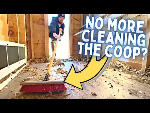 Stop CLEANING Your Coop Using This Method