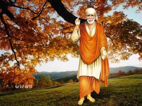 Tu hi pita tu mata(Sai bhajan)